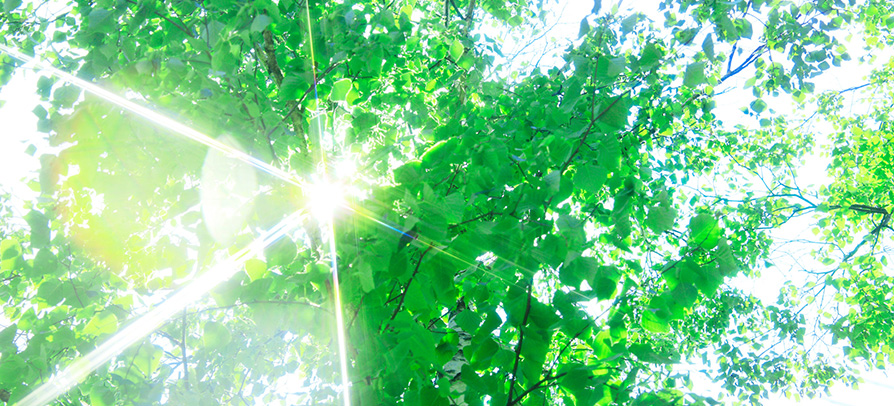 企業の環境対策