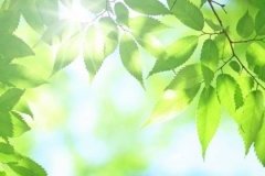 太陽光が最大限に活躍する季節はいつ！？