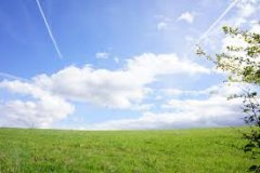 太陽光発電でつくった電気を、車にも使うという選択